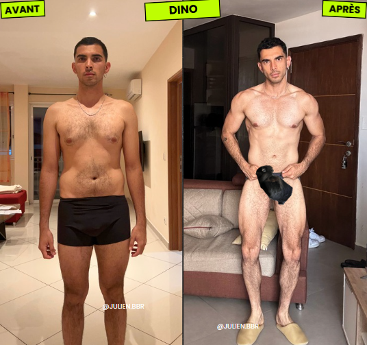 Dino, avant / après